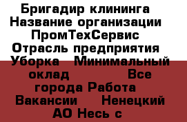 Бригадир клининга › Название организации ­ ПромТехСервис › Отрасль предприятия ­ Уборка › Минимальный оклад ­ 30 000 - Все города Работа » Вакансии   . Ненецкий АО,Несь с.